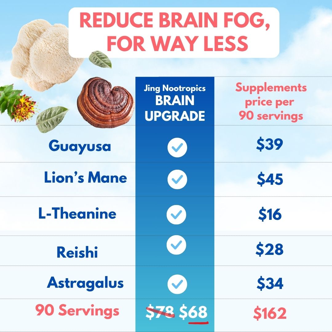 Brain Upgrade Original Formula